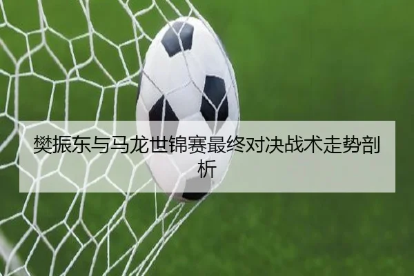 樊振东与马龙世锦赛最终对决战术走势剖析